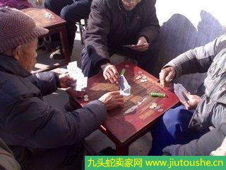 農村小本創(chuàng)業(yè)實操好項目知道的人不多